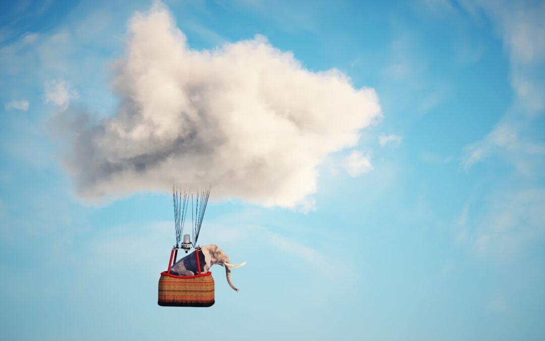 Do you believe in magic? We do – but for us, magic means “M&A”!