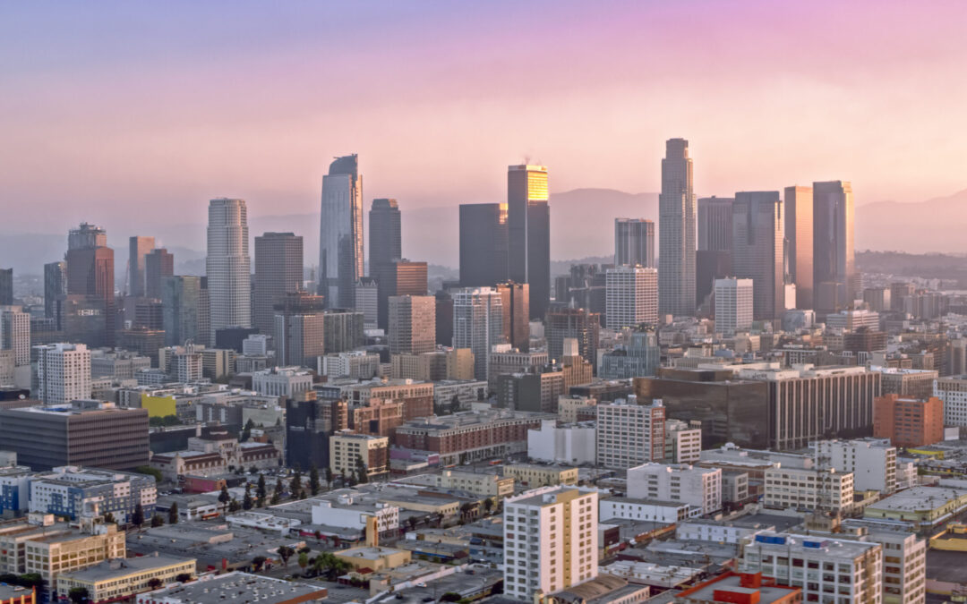 National Guard Deployment in Los Angeles: California Pushes Back