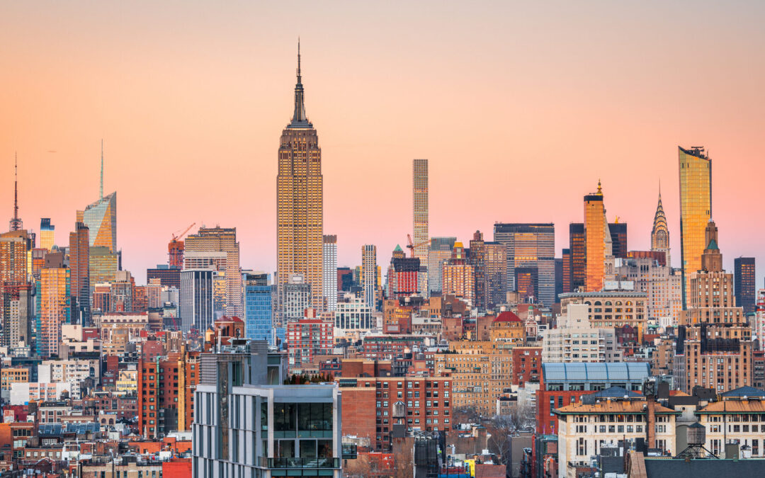 Establishing a Business in the US: DR. EBNER Can Help You
