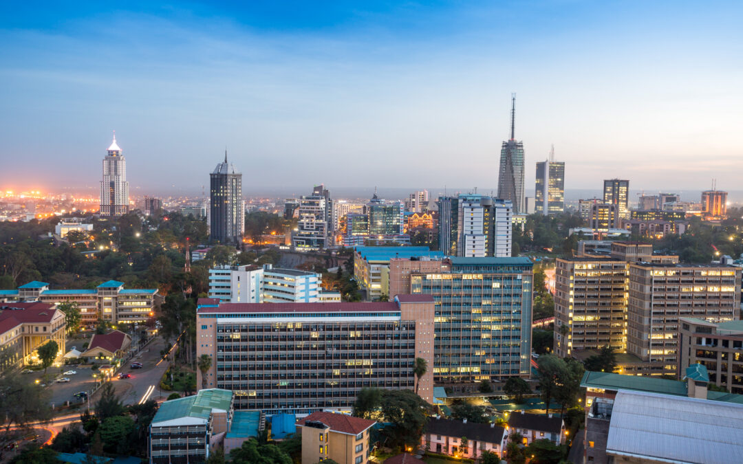 Challenges and Opportunities of Long-Term Investment in Africa